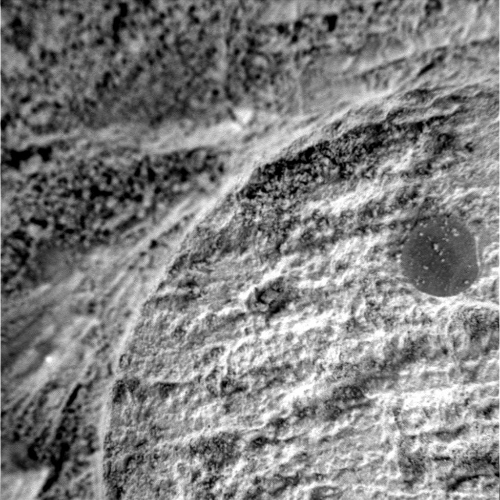 The Image