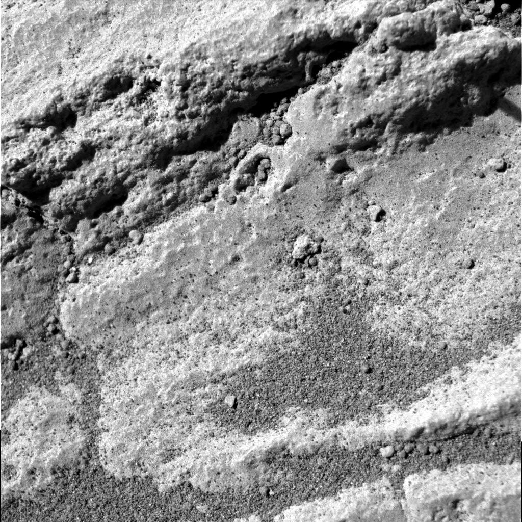 The Image