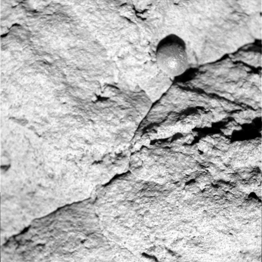 The Image