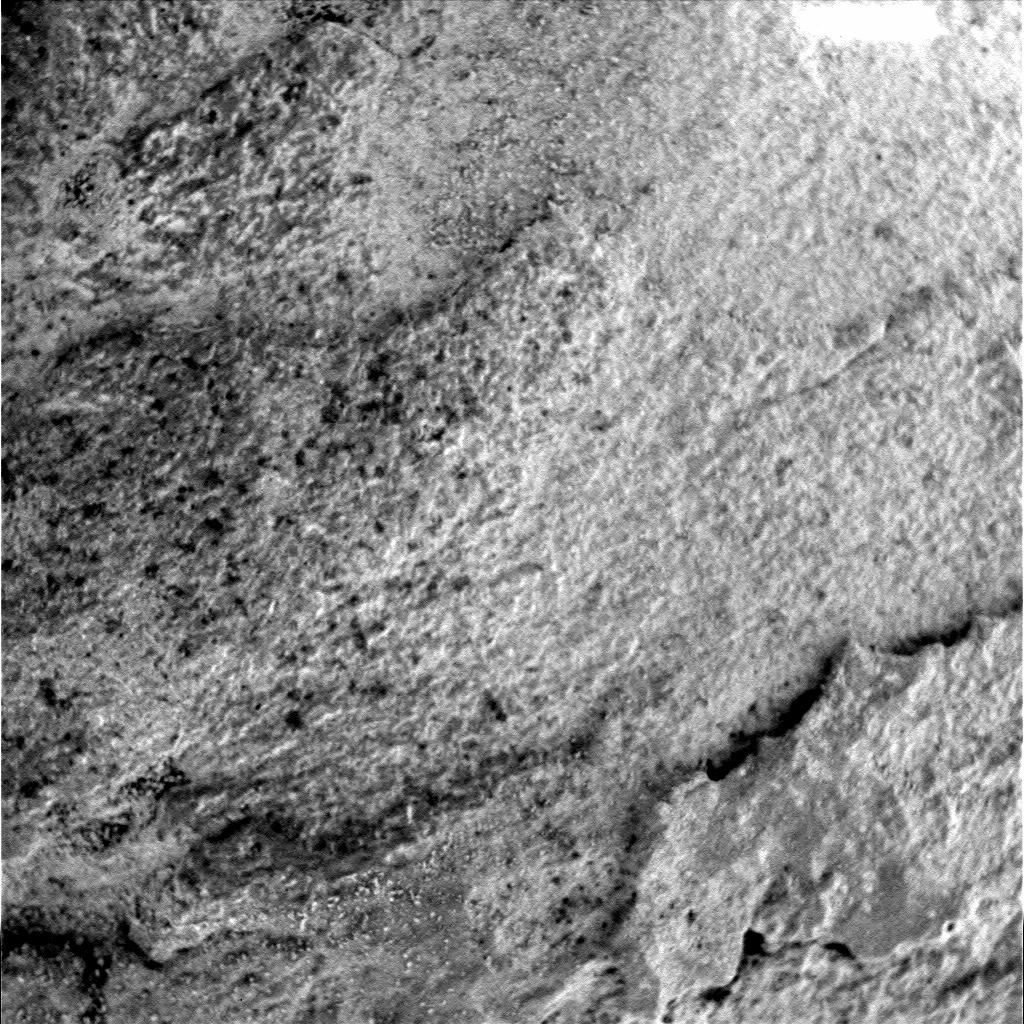 The Image