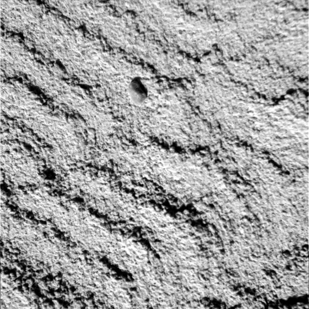 The Image