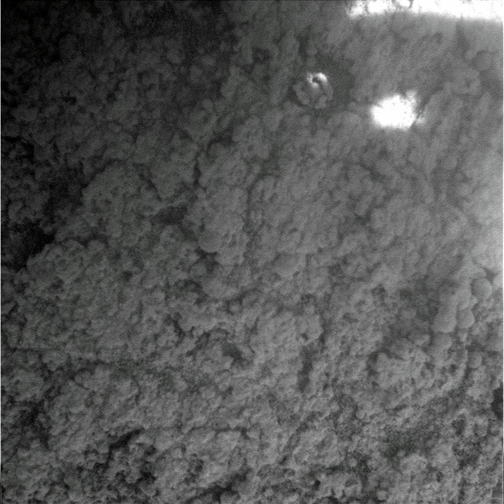 The Image