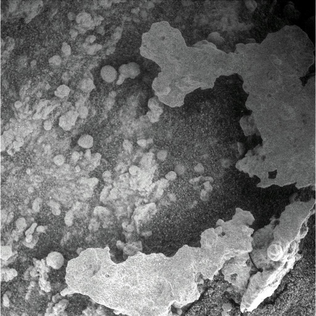 The Image