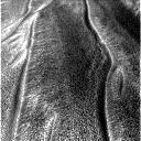 The Image