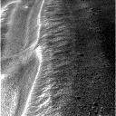 The Image