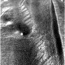 The Image