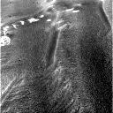 The Image