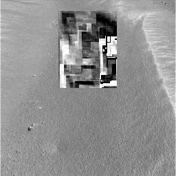 The Image