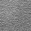 The Image