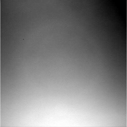 The Image