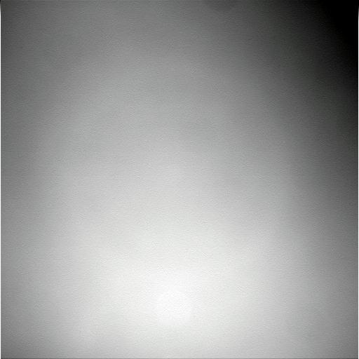 The Image