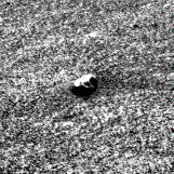 The Image