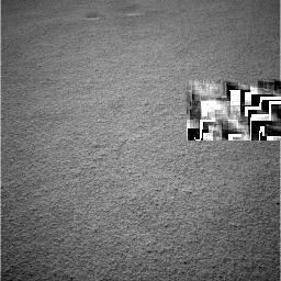 The Image