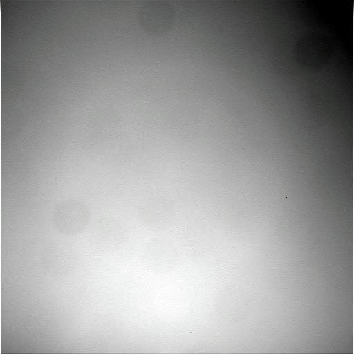 The Image