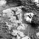 The Image