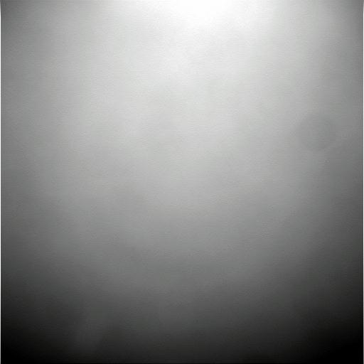 The Image