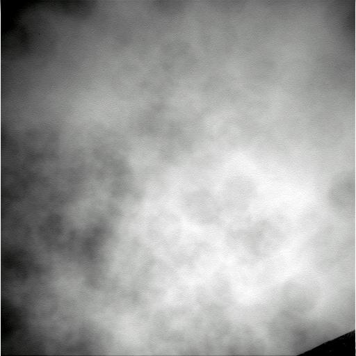 The Image