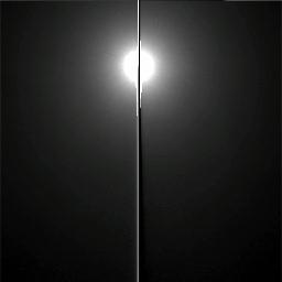 The Image