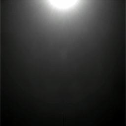 The Image