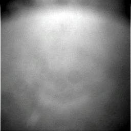 The Image