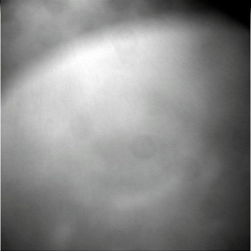 The Image