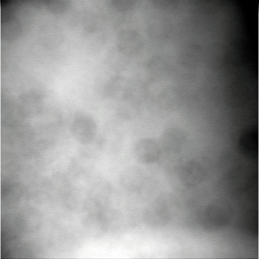 The Image