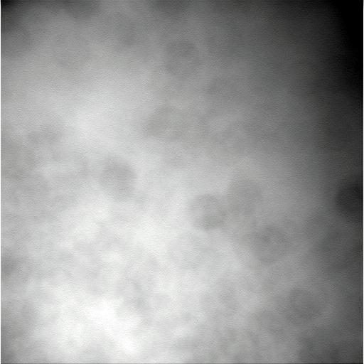 The Image