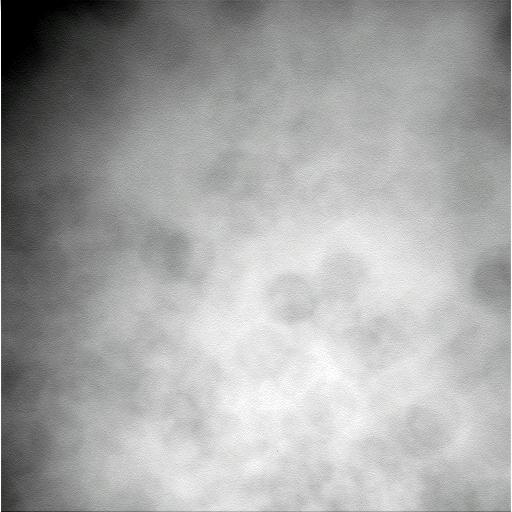 The Image