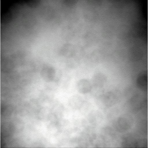 The Image