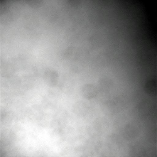 The Image