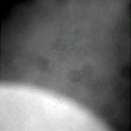 The Image
