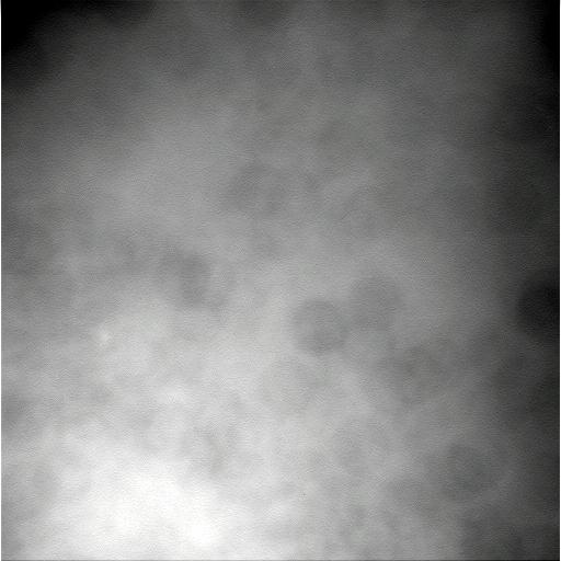 The Image