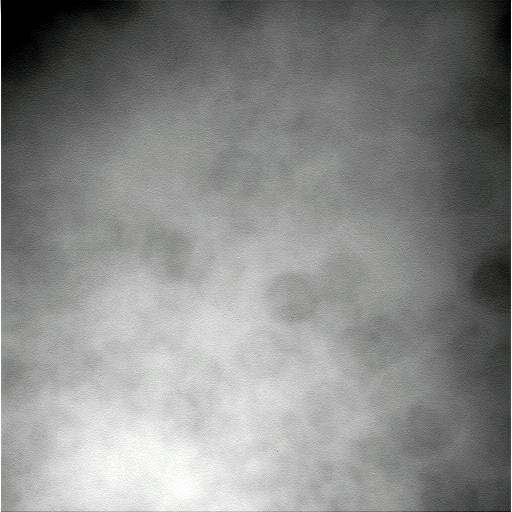 The Image