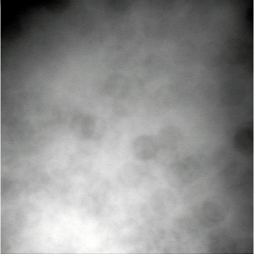 The Image