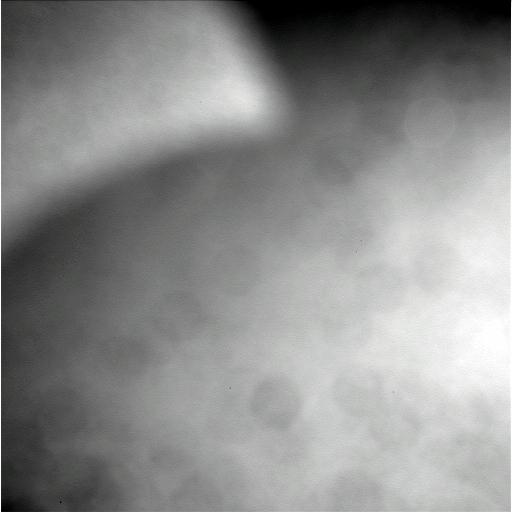 The Image