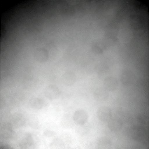 The Image