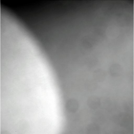 The Image