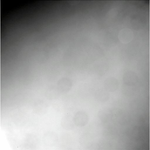 The Image