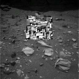 The Image