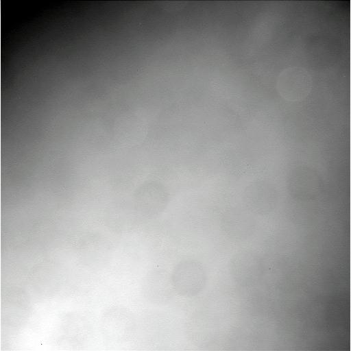 The Image