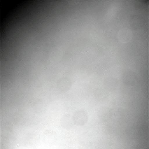 The Image