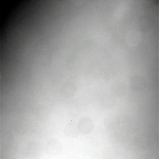 The Image