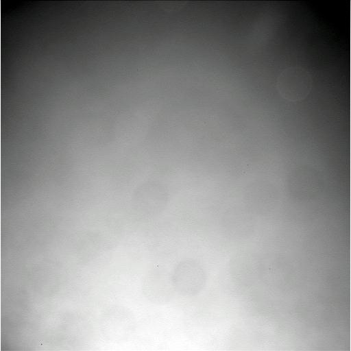 The Image