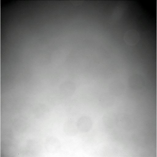 The Image