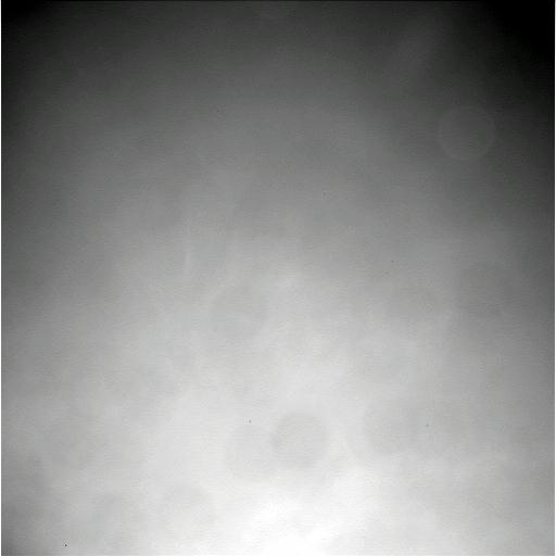 The Image