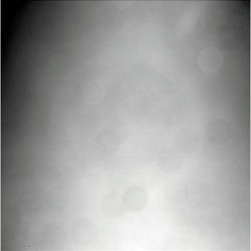 The Image