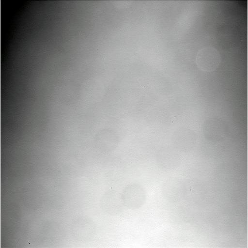 The Image