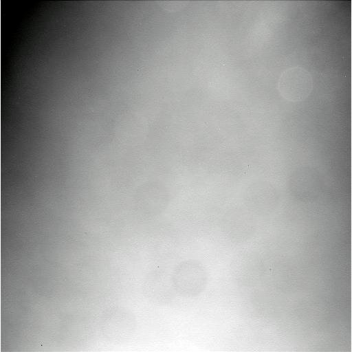 The Image