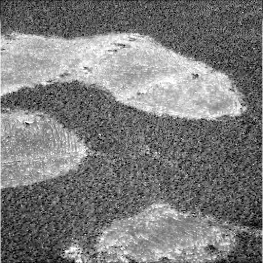 The Image