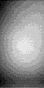 The Image
